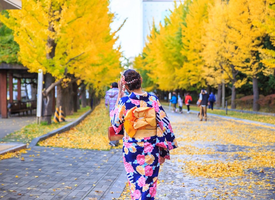 Hokkaido (Ground)