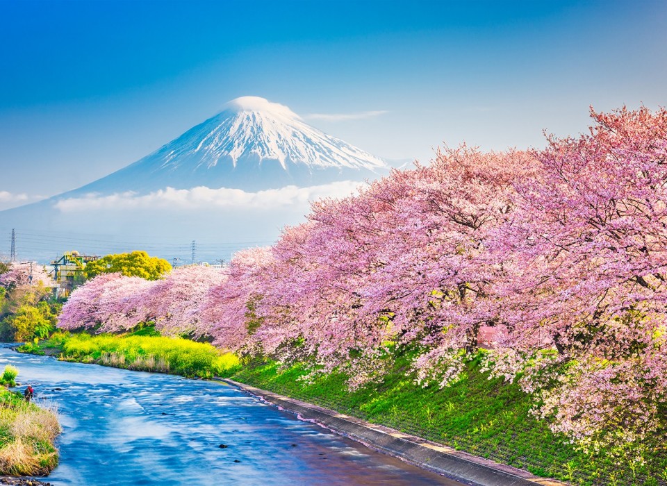 Tokyo (Ground)