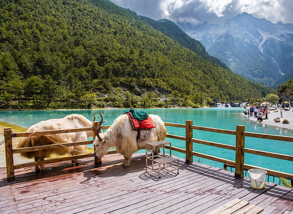 Yunnan (Group Tours)