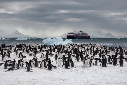 MS Roald Amundsen - 16 Days Antarctica & Falkland Expedition (Antarctica)