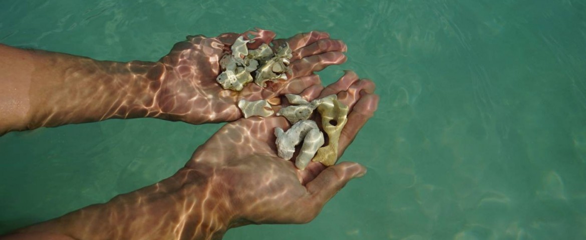 Perhentian Island Resort - 3D2N Snorkeling (Fullboard) photo 33