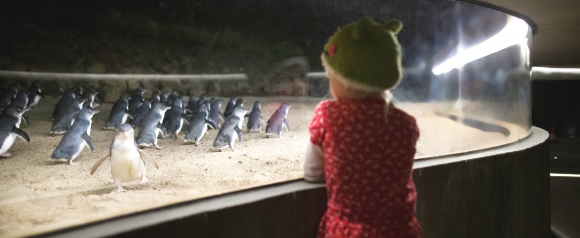 Melbourne 5D4N Muslim Private Tour photo 53