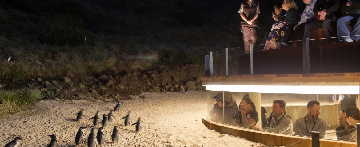 Melbourne 5D4N Muslim Private Tour photo 54