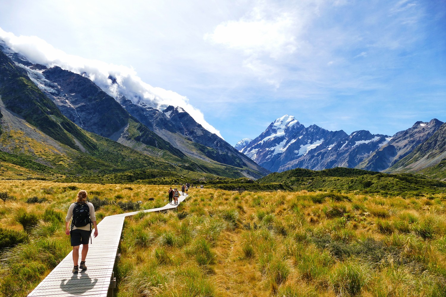 New Zealand - Fiords & Glaciers 8D7N photo 291