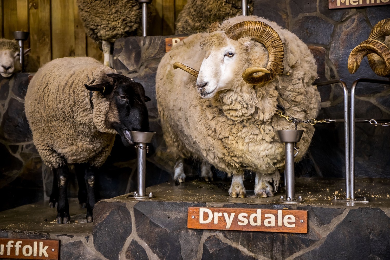 New Zealand - Scenic Splendour 9D8N photo 306