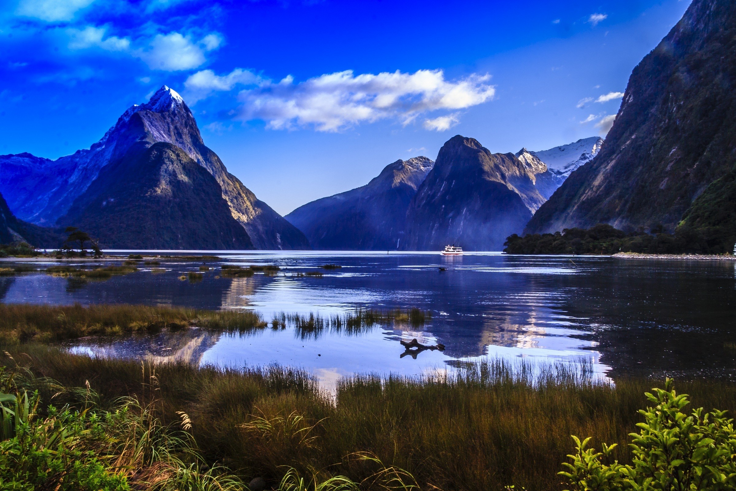 scenic tours nz