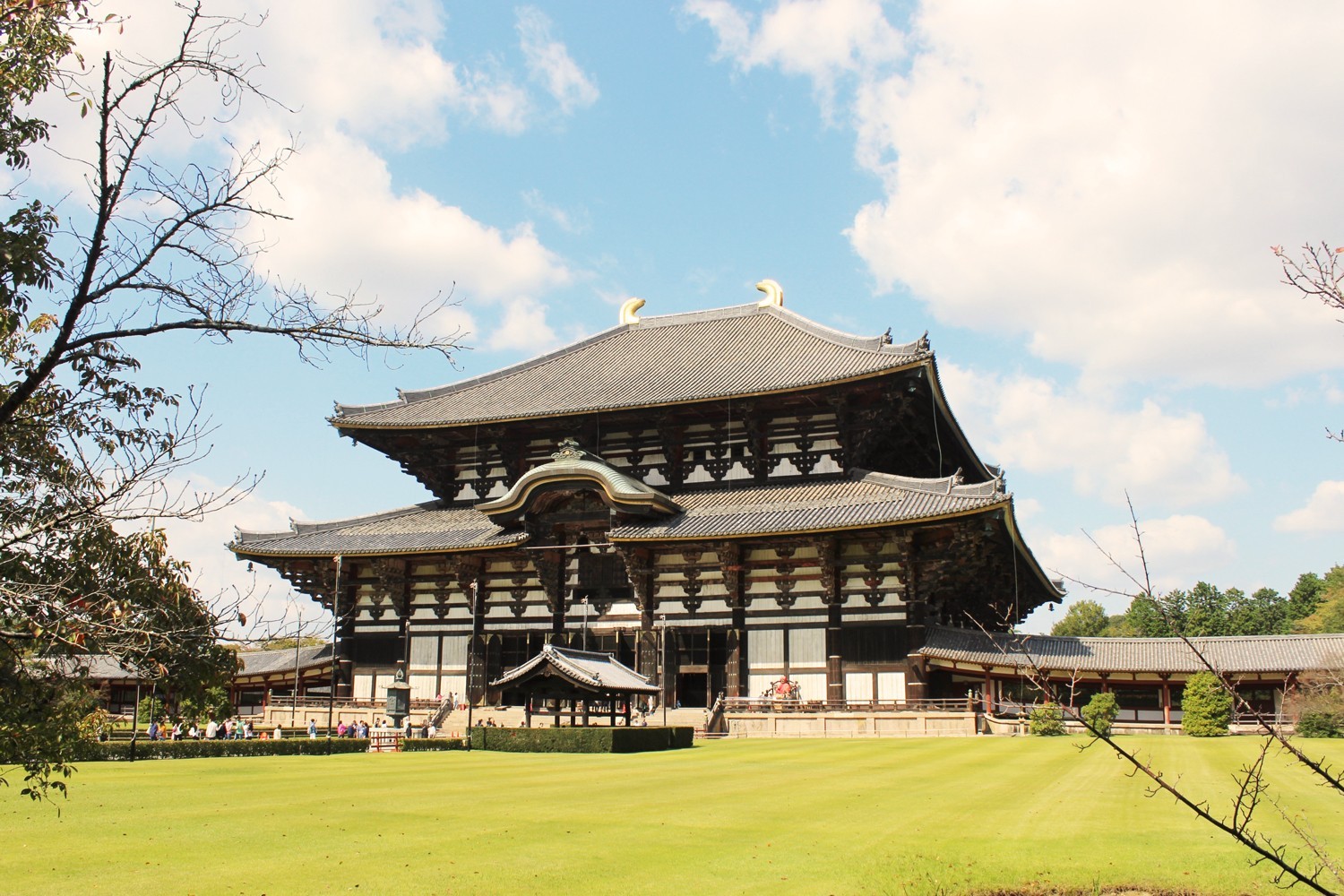 Osaka, Kyoto, Nara & Kobe - 5 Days 4 Nights photo 562