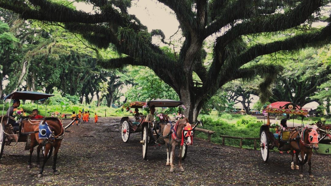 Banyuwangi - 3D2N Air-Inclusive Package photo 600