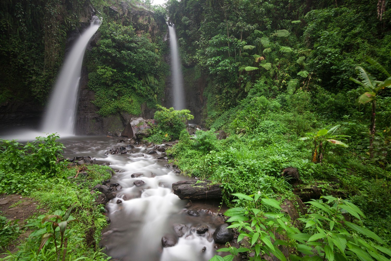 Banyuwangi - 5D4N Delighting Kalibaru photo 711