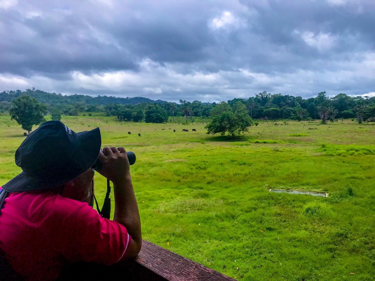 Banyuwangi - 5D4N Delighting Kalibaru photo 712