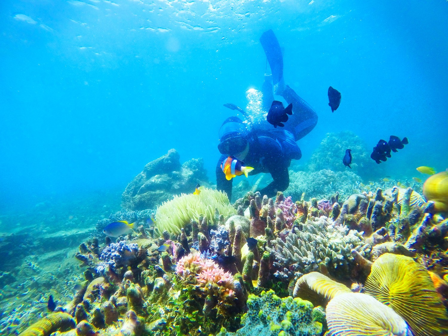 Banyuwangi - 5D4N Delighting Kalibaru photo 713