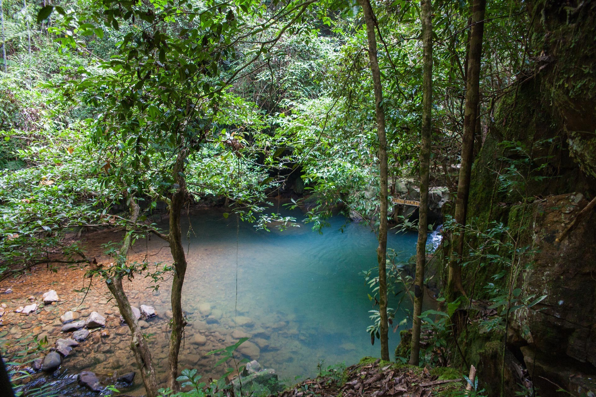 Mutiara Taman Negara - 3D2N Explorer Package photo 789