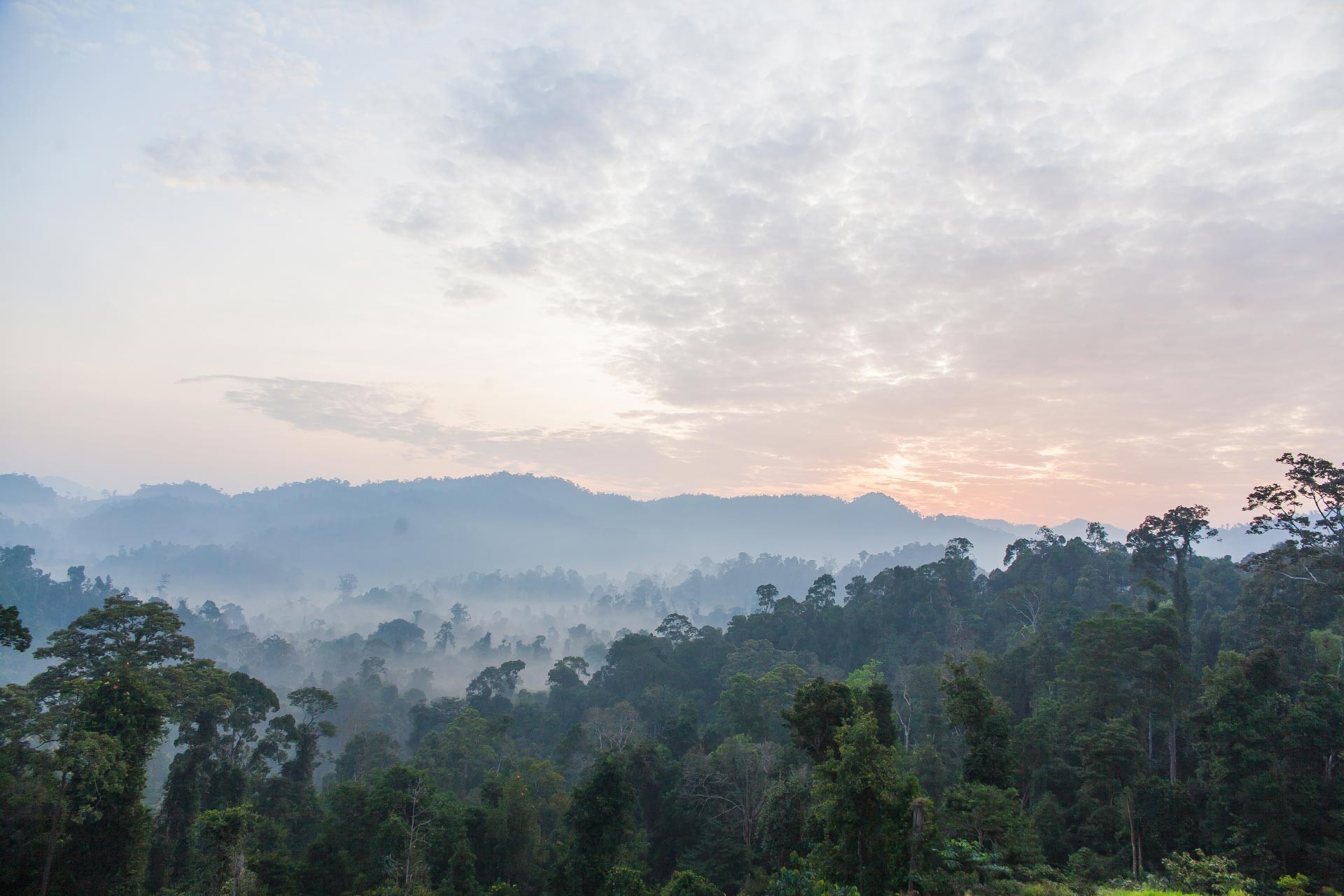 Mutiara Taman Negara - 3D2N Explorer Package photo 790
