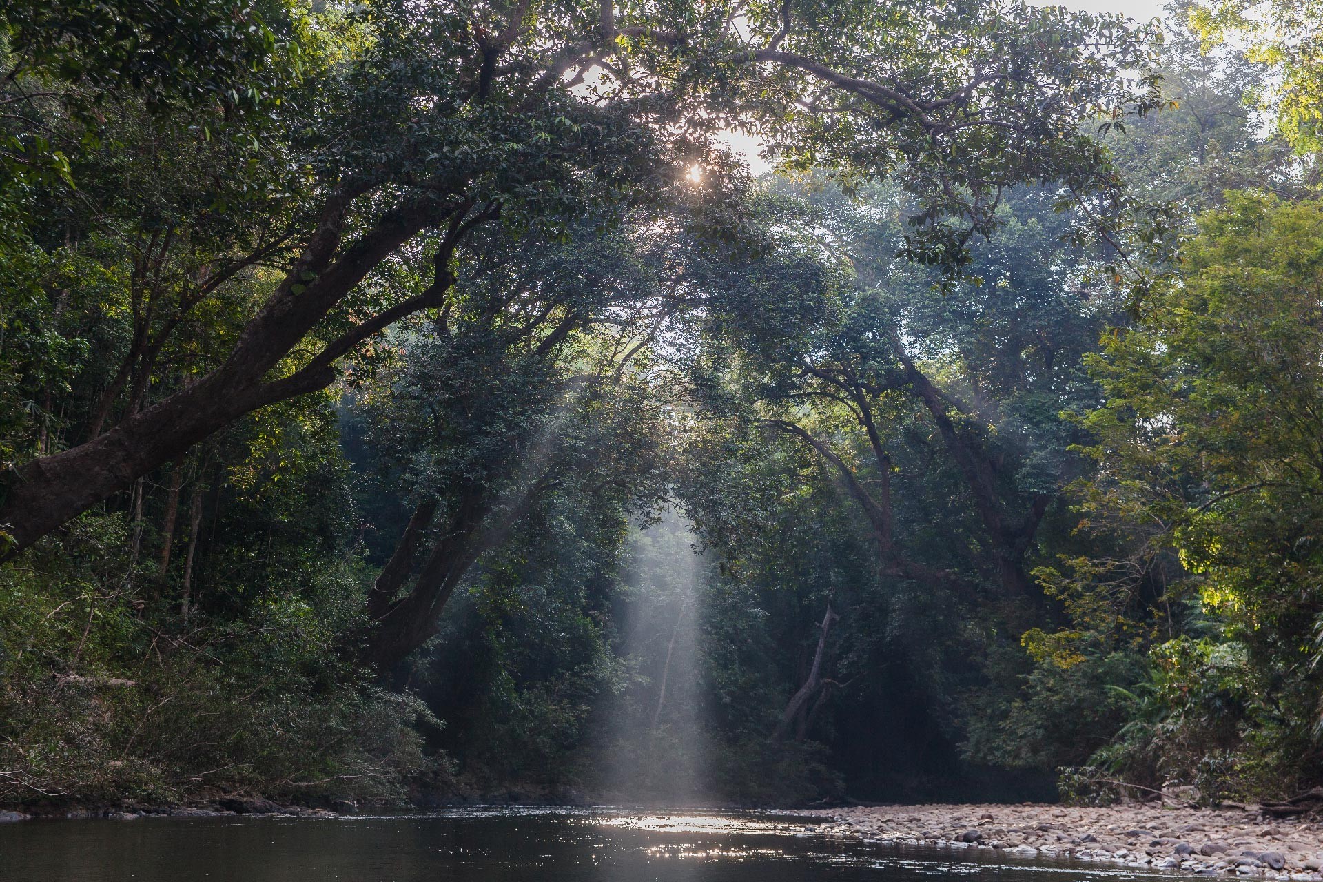 Mutiara Taman Negara - 3D2N Explorer Package photo 794