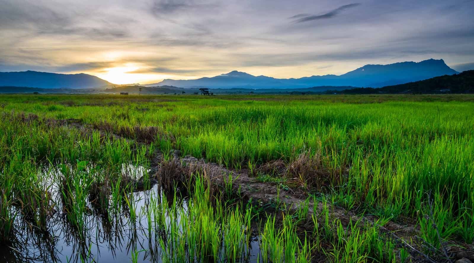 Mount Kinabalu Summit Climb - 3D2N photo 901
