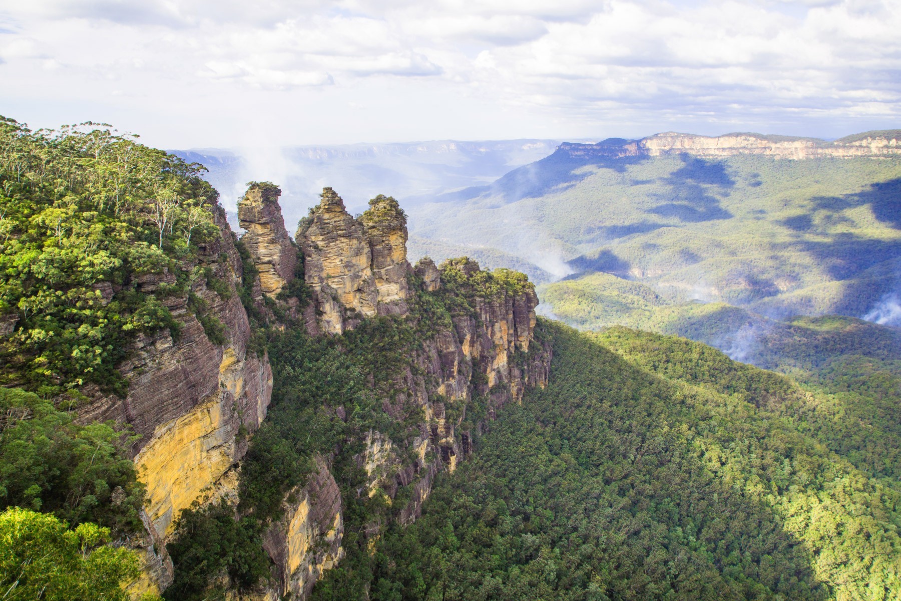 blue mountains wildlife tours