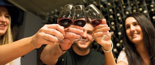 Sydney - Hunter Valley Harvest Wine Experience (Full Day) photo 964