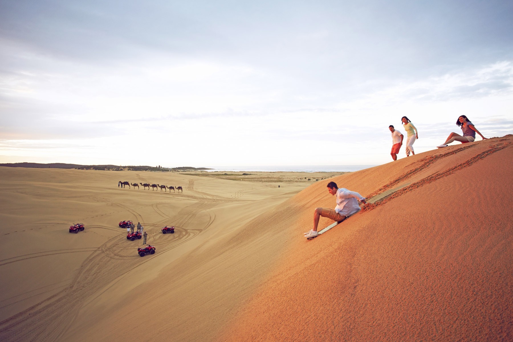 Sydney - Port Stephens Dolphins & Dunes (Full Day) photo 971