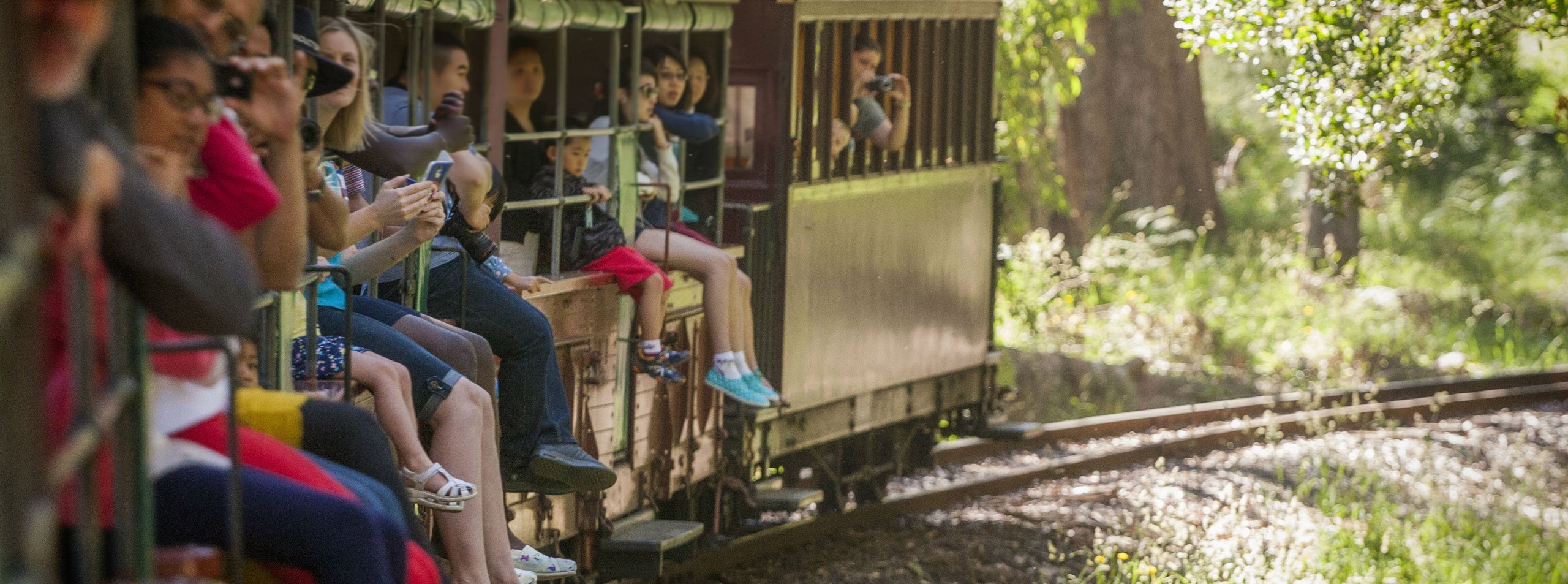Melbourne - Puffing Billy Steam Train & Healesville Wildlife (Full Day) photo 973
