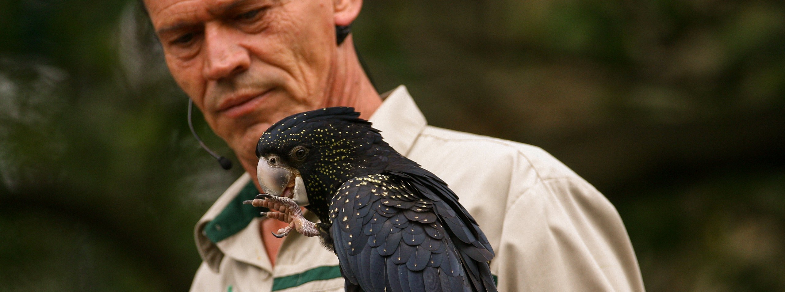 Melbourne - Puffing Billy Steam Train & Healesville Wildlife (Full Day) photo 975