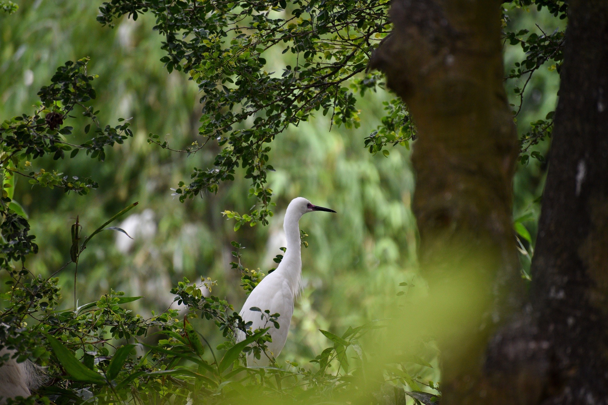 Can Tho - 4D3N Chau Doc (Tien Binh) photo 1006