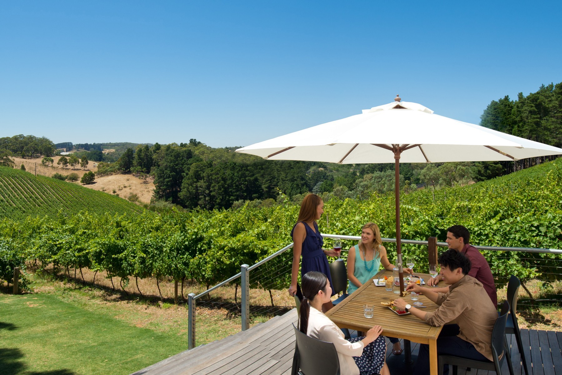 Adelaide - Victor Harbour & McLaren Vale Tour (Full Day) photo 1041