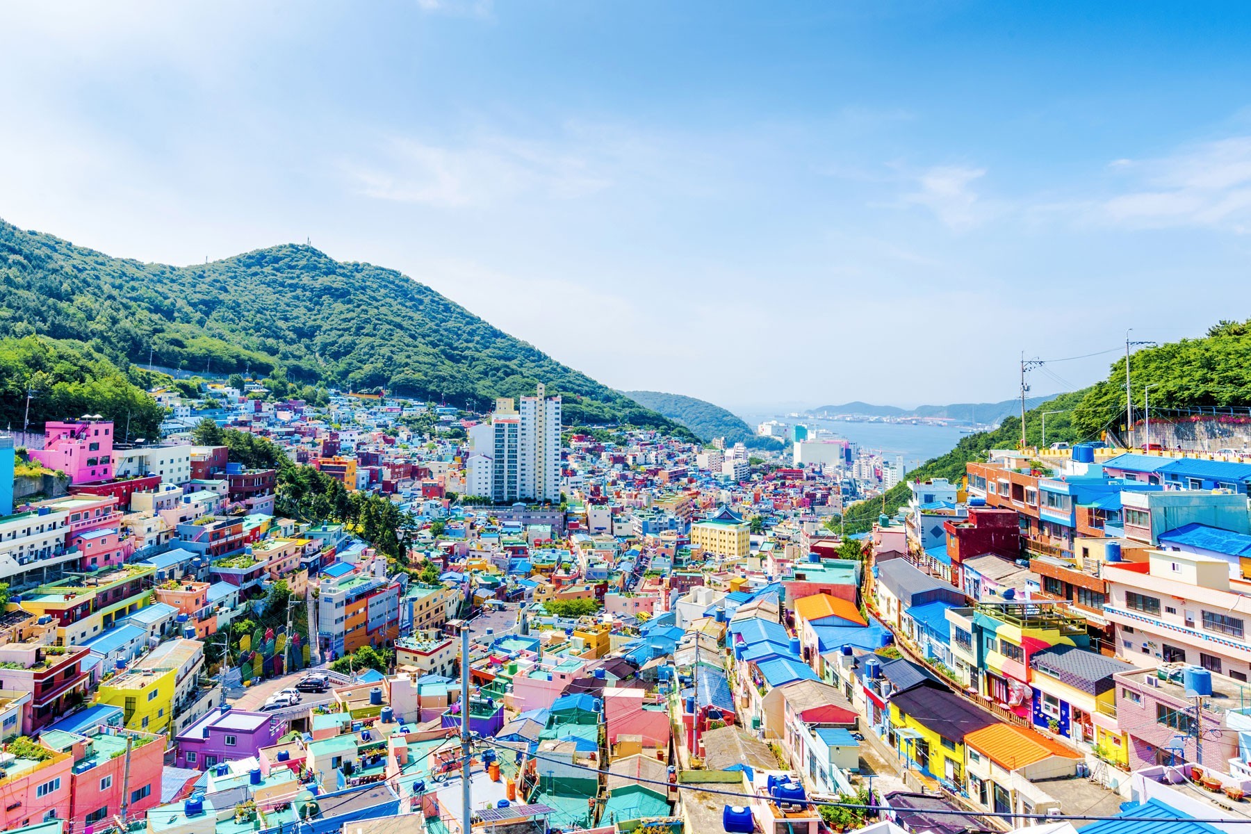 Busan - 5D4N Gyeongju Daegu photo 1053