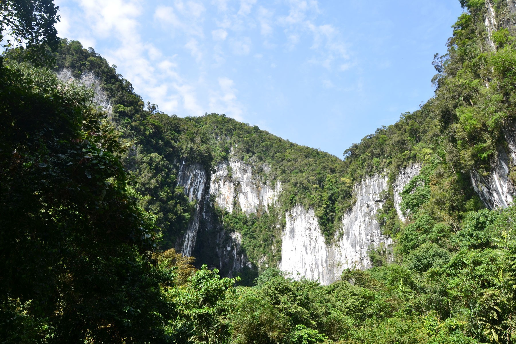4D3N Mulu Cave + Pinnacles (Mulu Marriott Resort & Spa) photo 3984