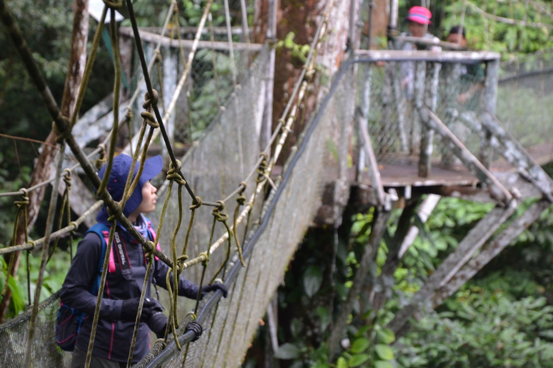 4D3N Mulu Cave + Pinnacles (Mulu Marriott Resort & Spa) photo 3985