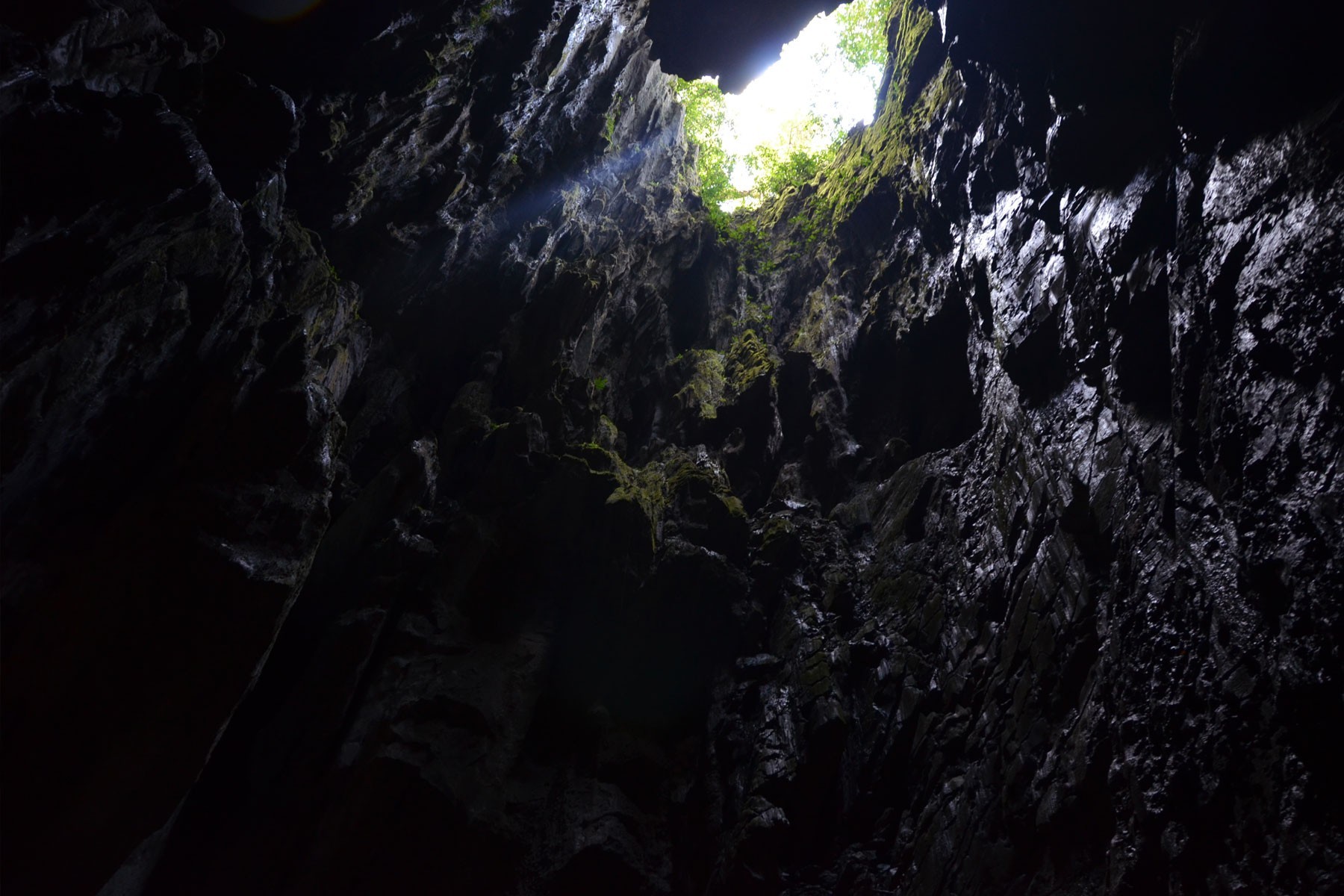 4D3N Mulu Cave + Pinnacles (Mulu Marriott Resort & Spa) photo 3986