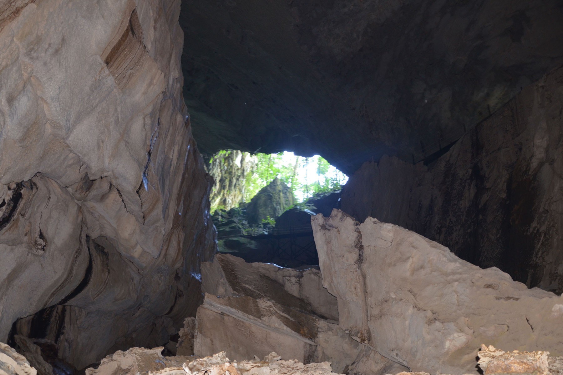 4D3N Mulu Cave + Pinnacles (Mulu Marriott Resort & Spa) photo 3987