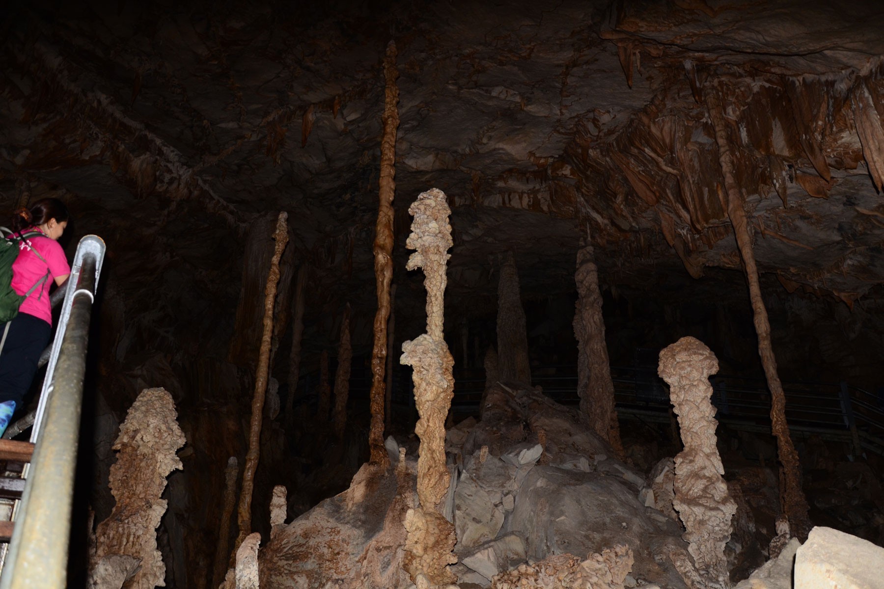 4D3N Mulu Cave + Pinnacles (Mulu Marriott Resort & Spa) photo 3988