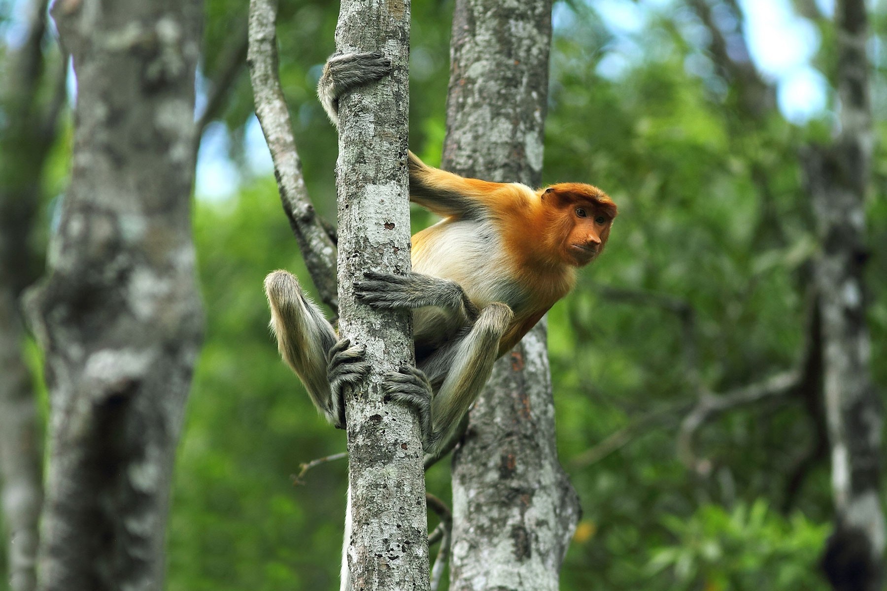 Best of Kuching - 4D3N photo 1180