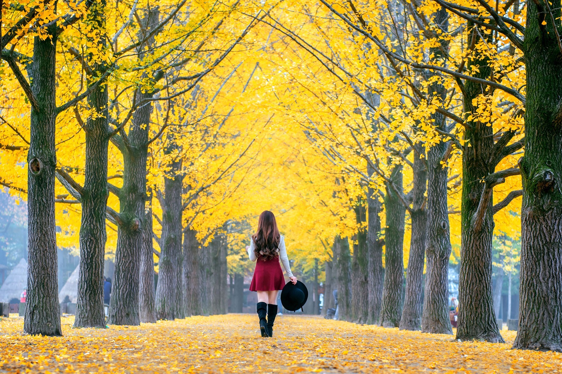 Seoul - 5D4N Nami Island (Muslim Package) photo 1195