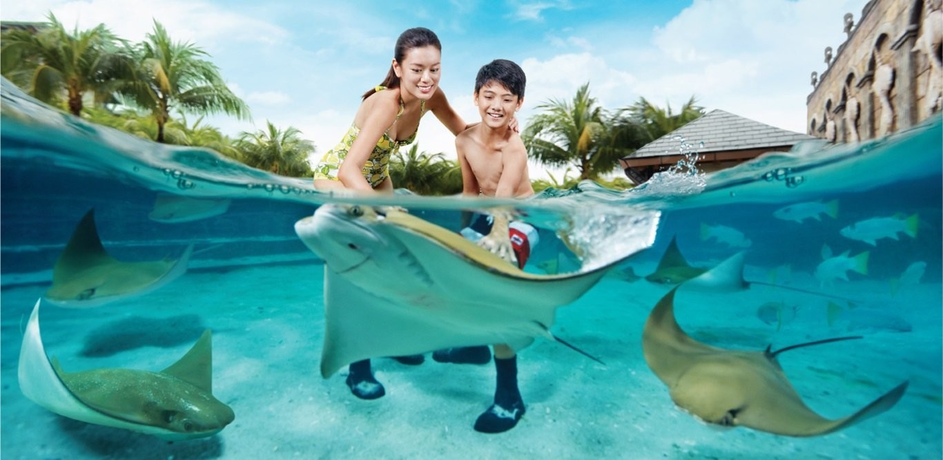 Universal Studios Singapore ™ - 3D2N Double Fun Package (Adventure Cove Waterpark) photo 1279