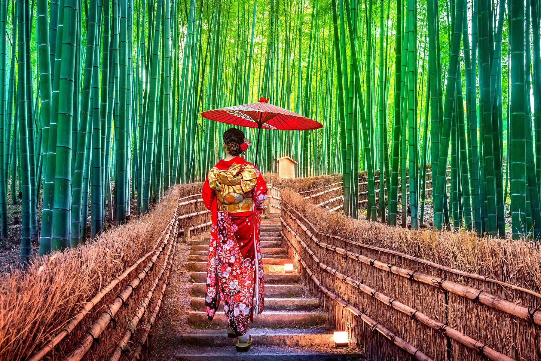 Osaka, Kyoto - 5 Days 4 Nights (Muslim Private Tour) photo 1393