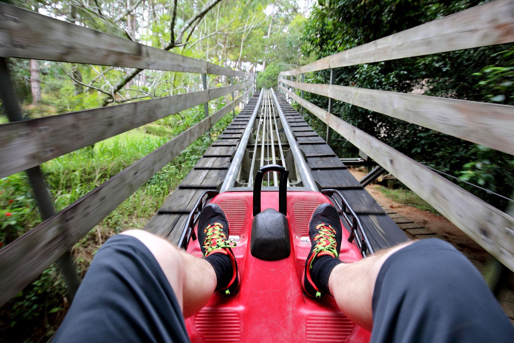 Da Lat - 3D2N Flower City photo 1622