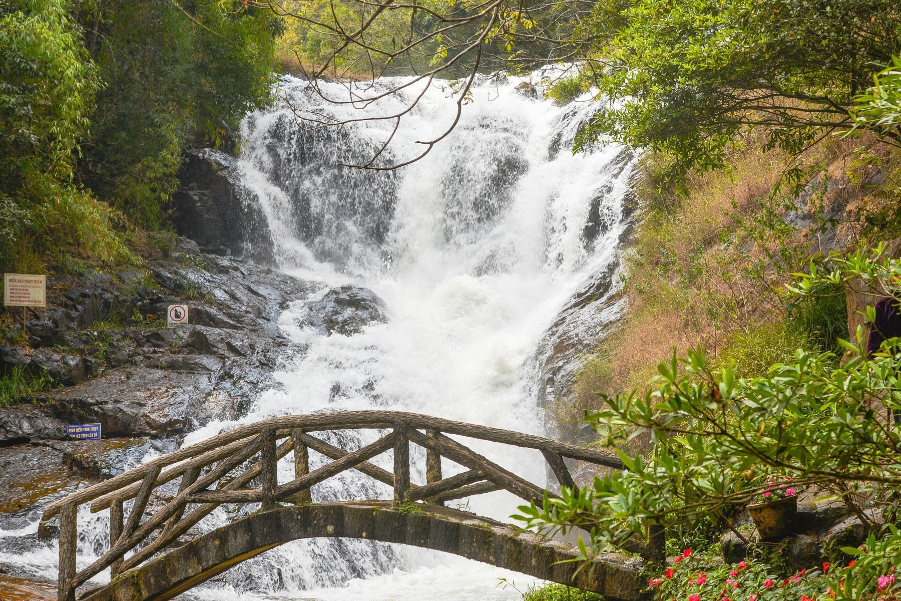 Da Lat - 3D2N Flower City photo 1623