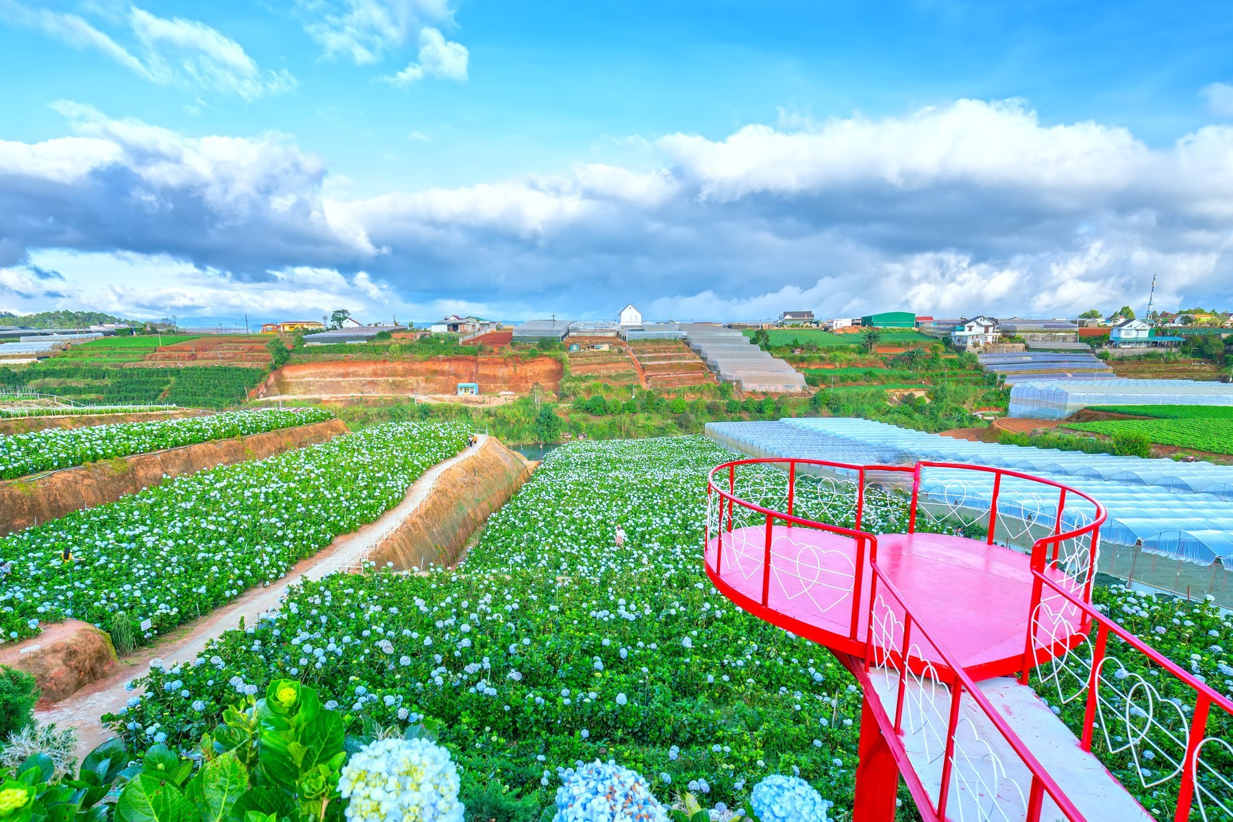 Da Lat - 4D3N Da Lat Flower City + Nha Trang Beach Resort photo 1658