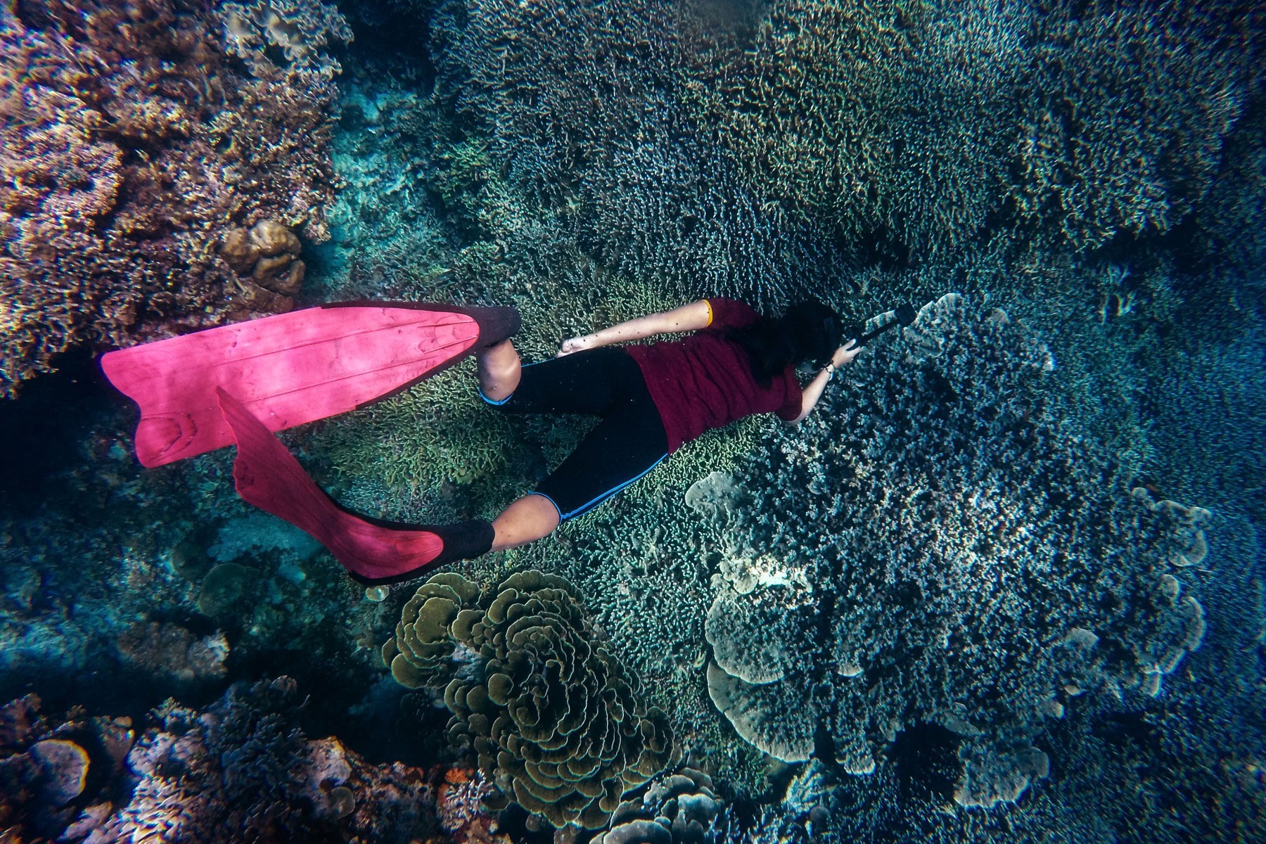 The Taaras Redang Beach & Spa Resort - 5D4N Half Board Package with Flight photo 1838