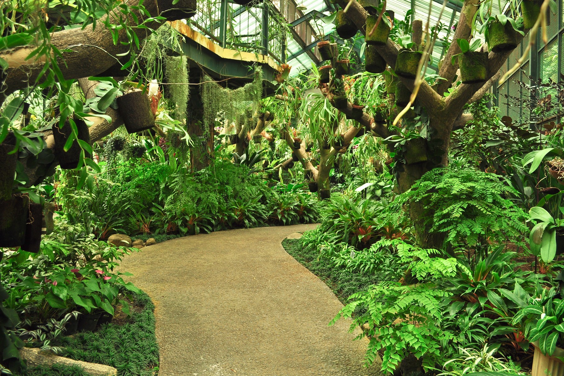 Jakarta - 5D4N Jakarta Puncak Bandung photo 1915