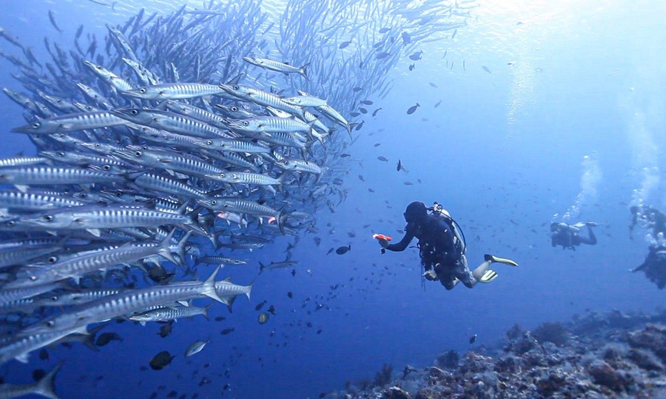 Sipadan Kapalai Dive Resort - 4D3N Dive Package photo 2274