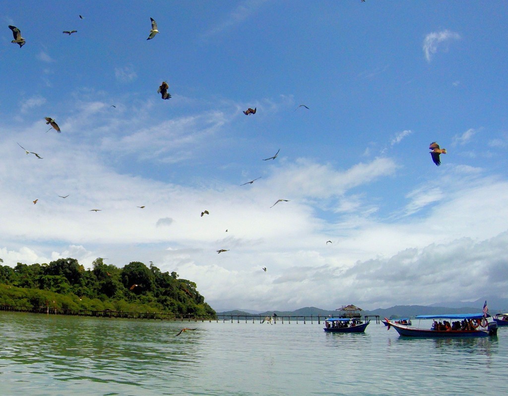 4D3N - Langkawi Travel Bubble Packages photo 2822