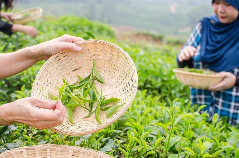 4D3N Kundasang Meets Kota Belud photo 2889