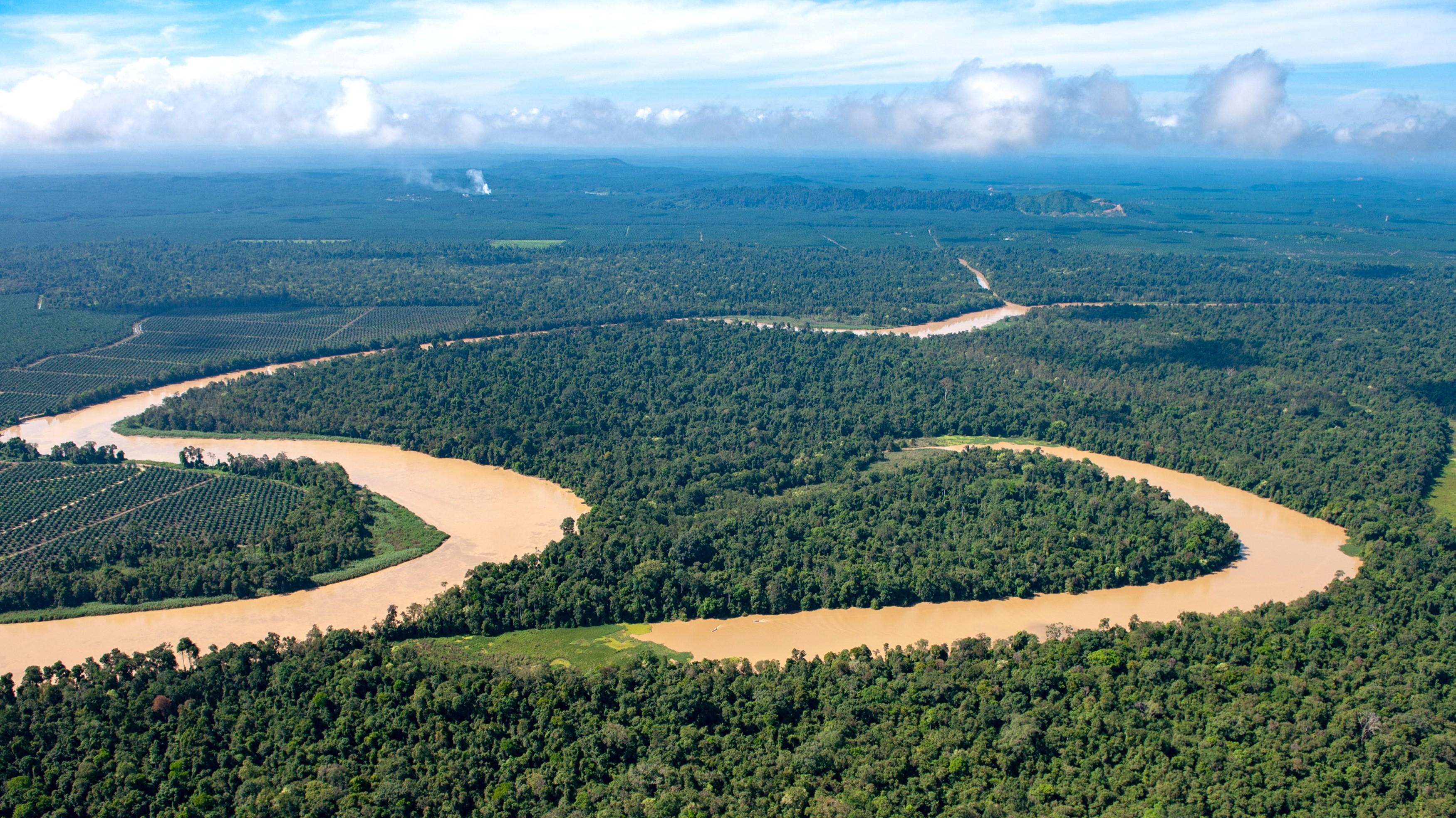 5D4N The Ultimate Sandakan Experience Package photo 2900