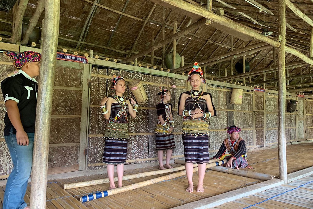 10D9N Sabah Nature Experience Tour & Semporna Island photo 2910