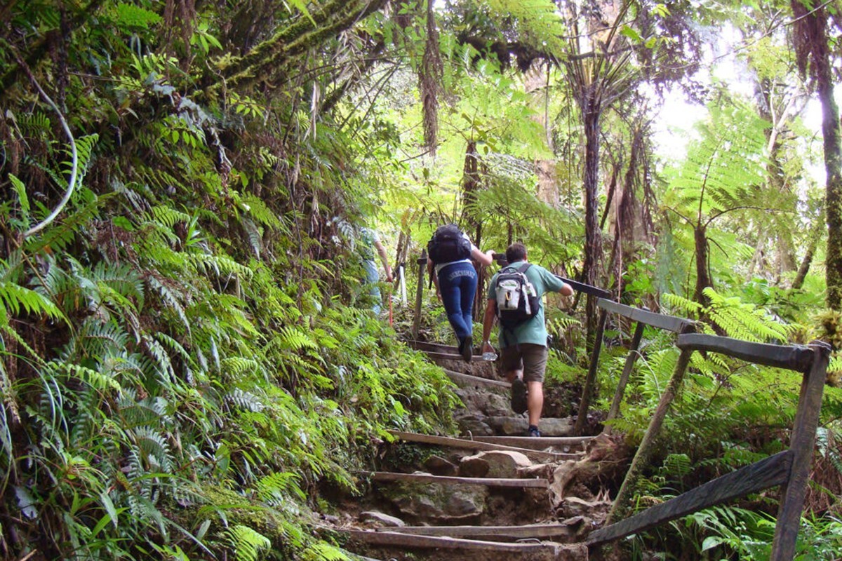 10D9N Sabah Nature Experience Tour & Semporna Island photo 2914