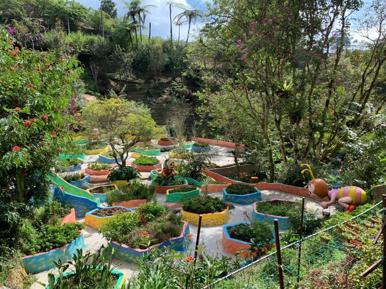 3D2N Hotel De’ La Ferns Discover Cameron Package photo 3095