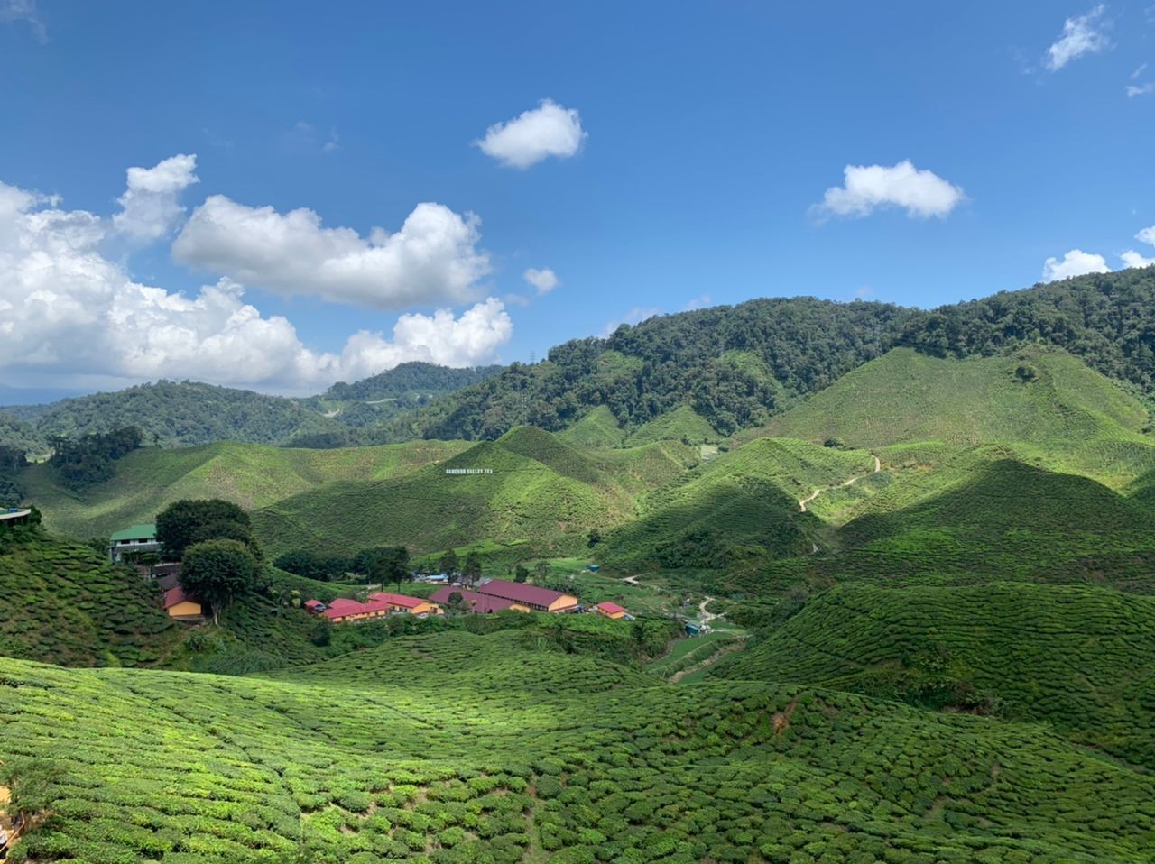 3D2N Hotel De’ La Ferns Discover Cameron Package photo 3096