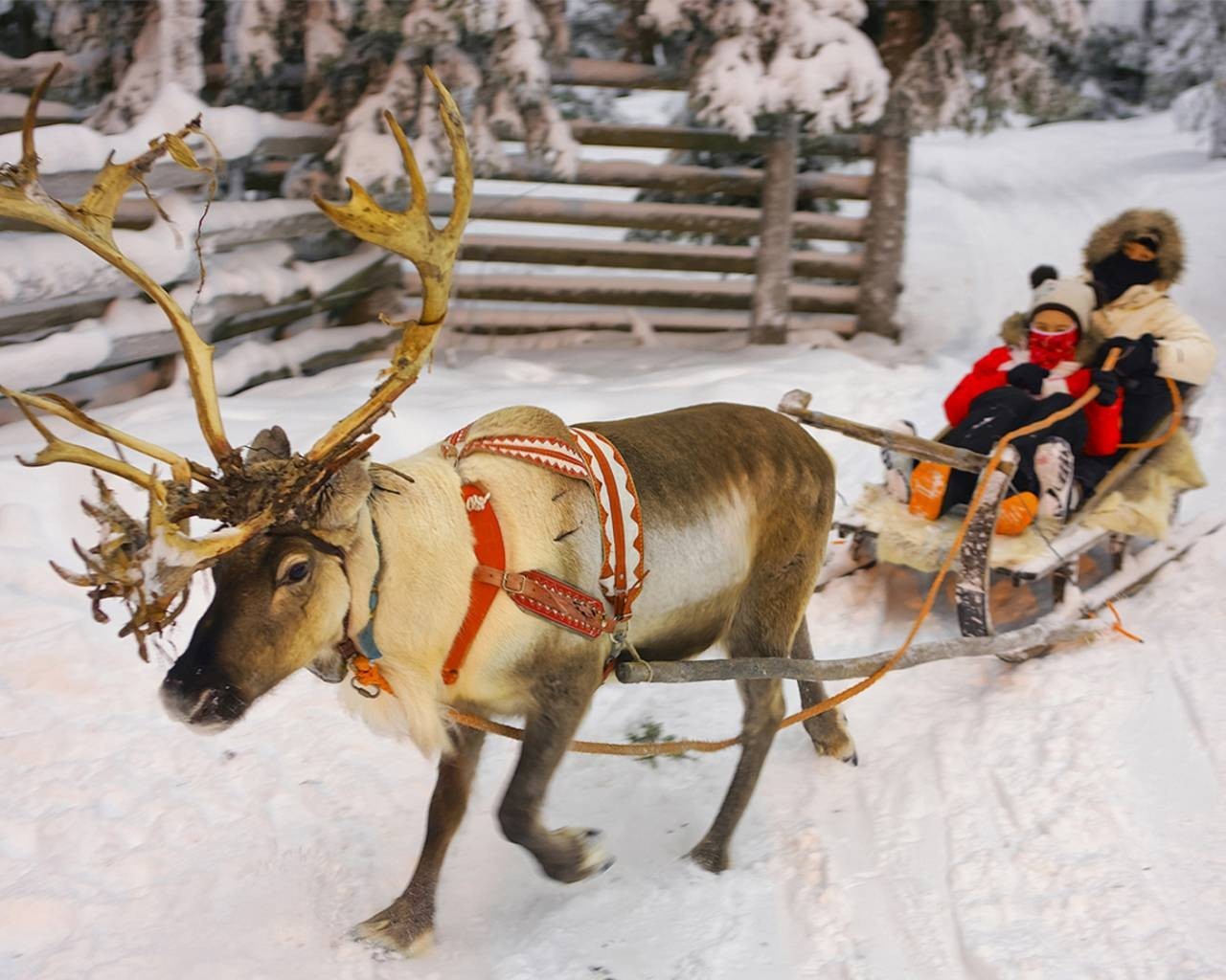 10D Finland Norway + Glass Igloo photo 3244